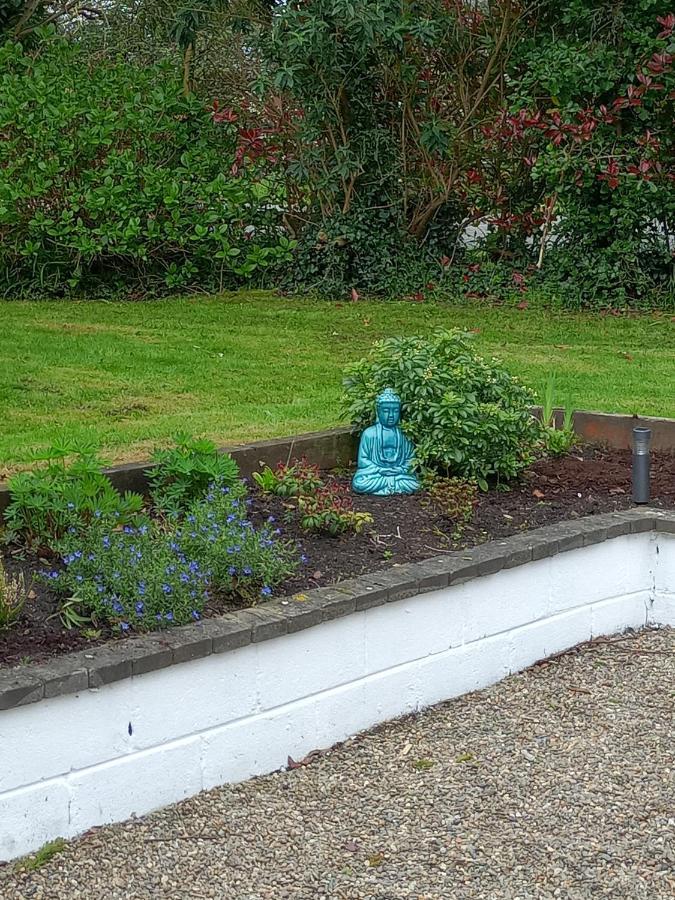 Bed and Breakfast Applelea House Rosslare Harbour Exterior foto