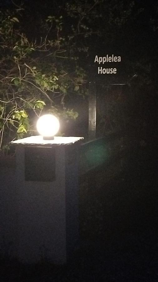 Bed and Breakfast Applelea House Rosslare Harbour Exterior foto